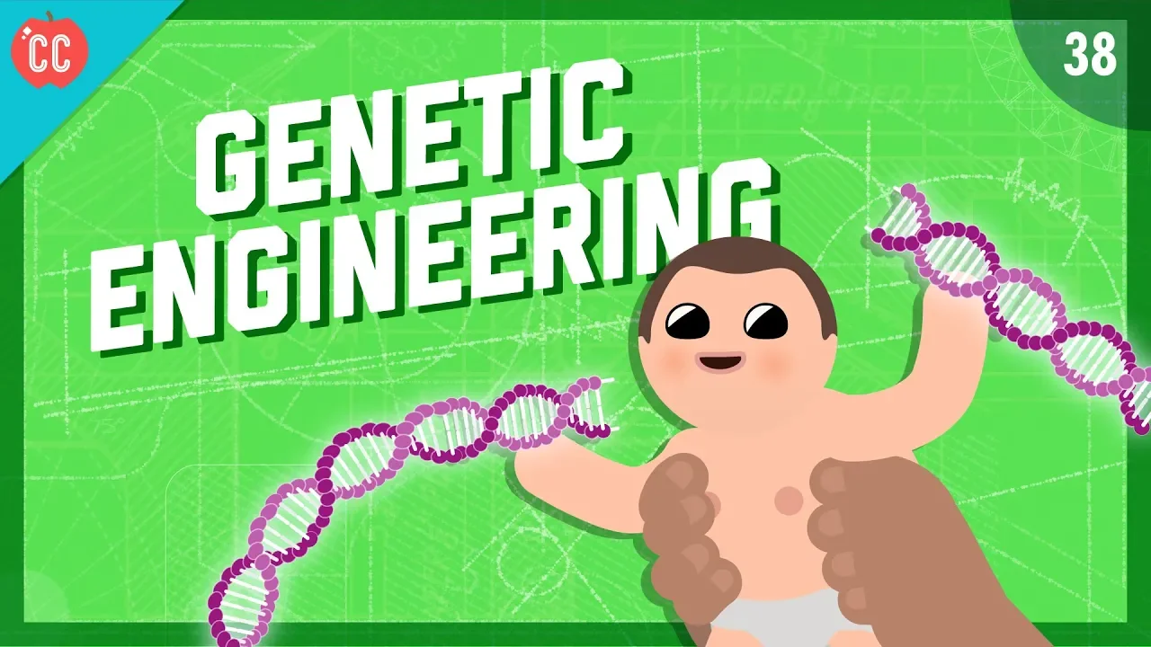 Thumbnail for Changing the Blueprints of Life - Genetic Engineering: Crash Course Engineering #38