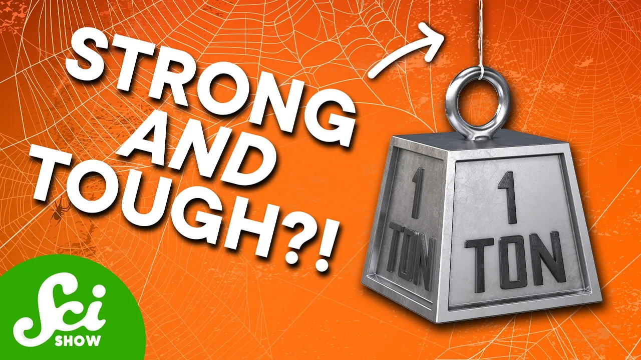 Thumbnail for We Finally Made Synthetic Spider Silk